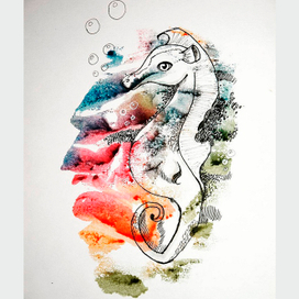 Морской конек