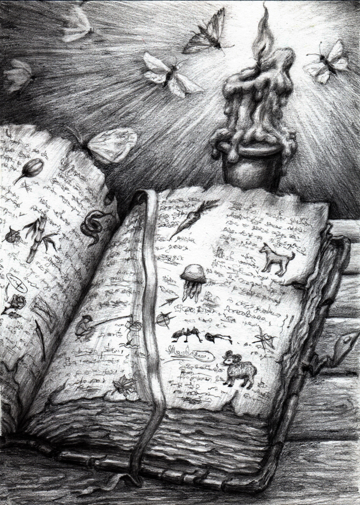 Справочник по прикладному заклинательству