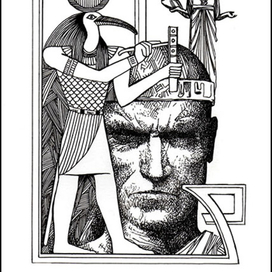 Прекрасная женщина