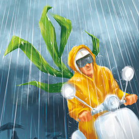 ¦  ¦ ¦ дождь ¦