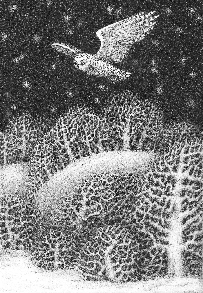 Ночной полёт