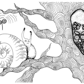 Страшно совятам одним!