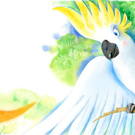 к "Кенгуренку Бамси"