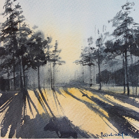 Зимние тени