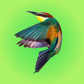 Colibri