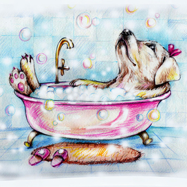 иллюстрация