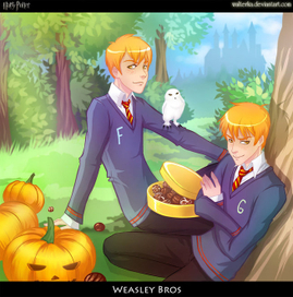 Weasley bros