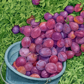 Улика номер четыре