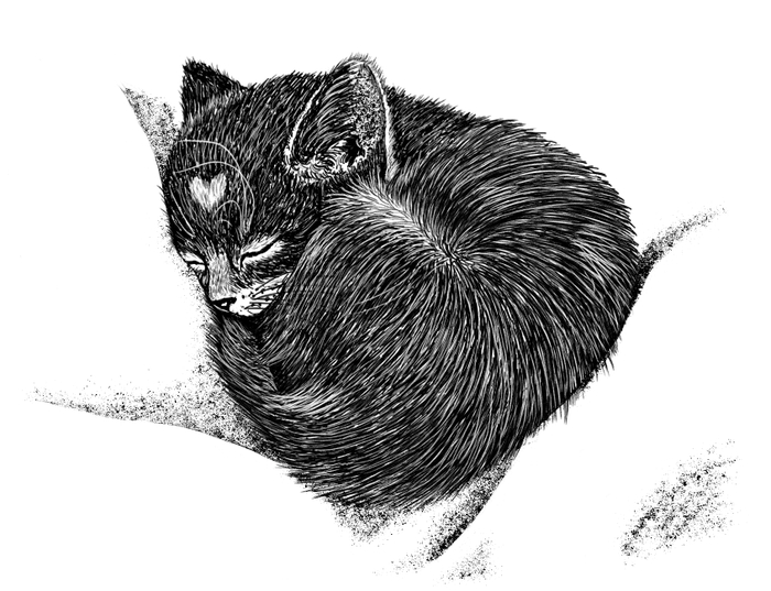 Иллюстрация к книге "Долгая дорога домой" издательства Феникс-Премьер