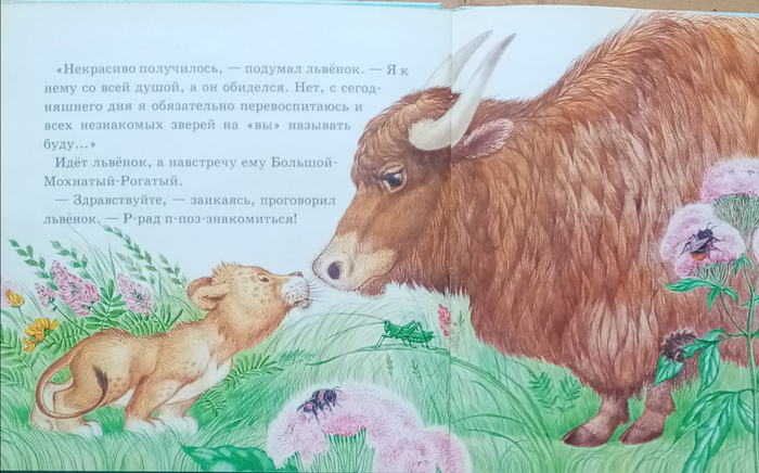 Книга Непонятливых львенок