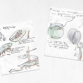 достали рыбу живую