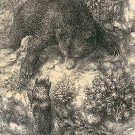 Охота на медведя