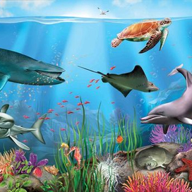 ИЛЛЮСТРАЦИИ ДЛЯ КНИГИ ПРО ЖИВОТНЫХ. Под Водой.