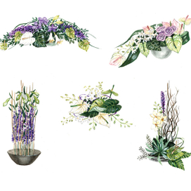 Эскизы композиций