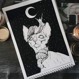 День 12 - Скользкий