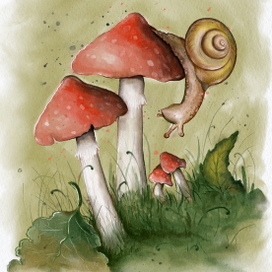 Улитка и мухоморы