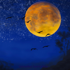 Ночной перелет