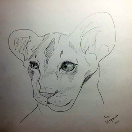 детеныш льва