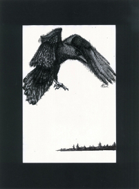 Черные крылья темные вести