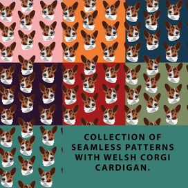 Collection of seamless patterns with welsh corgi cardigan