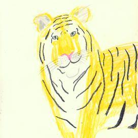 тигр скетч