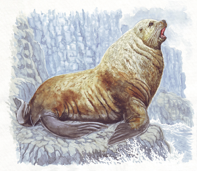 Слово предоставляется генеральному секретарю ЦК КПСС, председателю Президиума Верховного Совета...