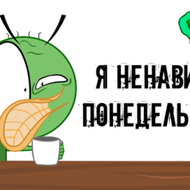 Крикет ненавидит понедельники