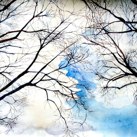 Весенние деревья