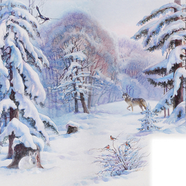 Иллюстрация №1 к книге Мир Чудес