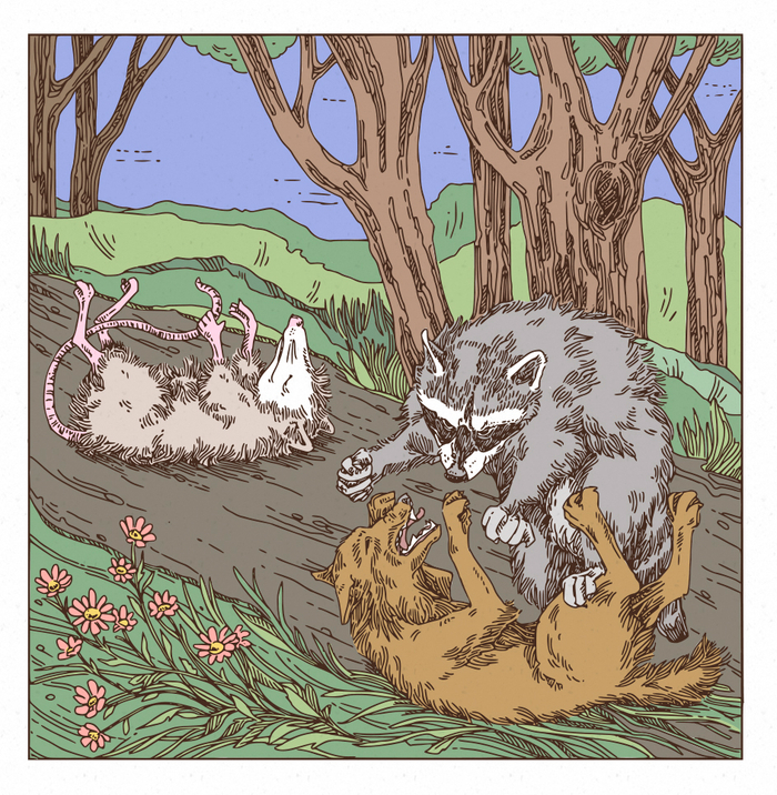 Храбрый Братец Опоссум