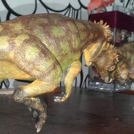 пахицефалозавры ( Pachycephalosaurus wyomingensis)