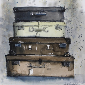 Чемоданы