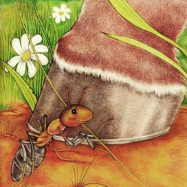 Самый сильный