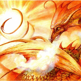 Дракон Солнце