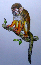 Обезьянка