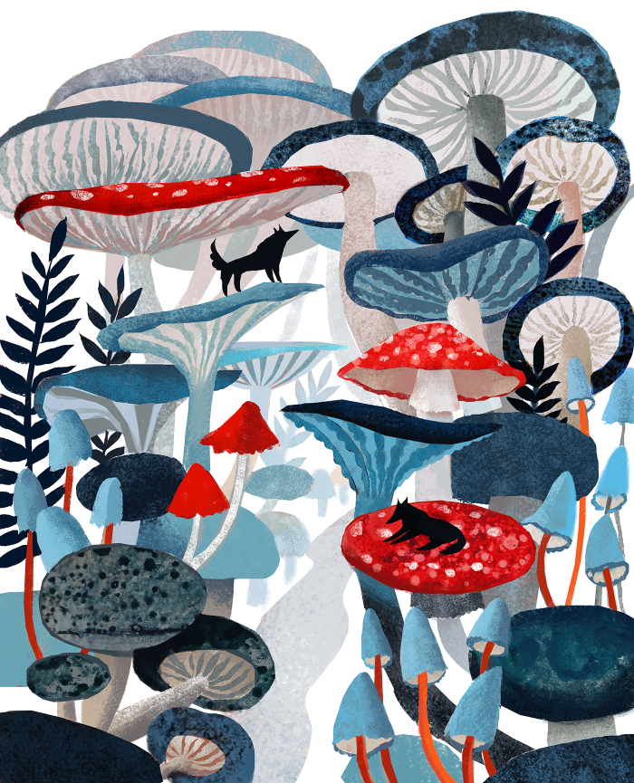 грибной лес