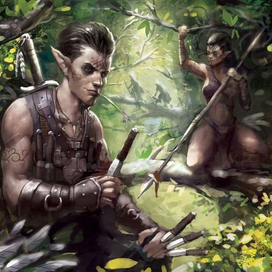 Эльфийская засада