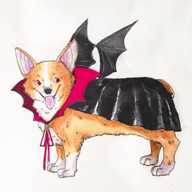 корги в костюме дракулы