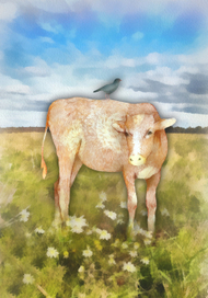 Теленок и скворец