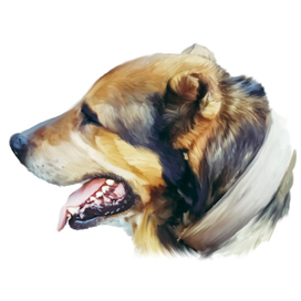 Рисунок собаки в программе Procreate