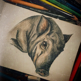 Сэр Фрэнсис