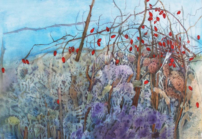 Травы и шиповник