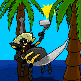 Паук-птицеед отдыхает в гамаке