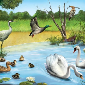 Птичьи хлопоты