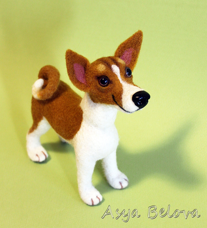 Басенджи (другой  ракурс).