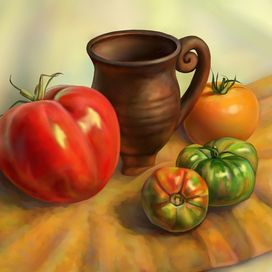 Помидоры огородные