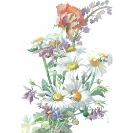 Ромашки для Наташки