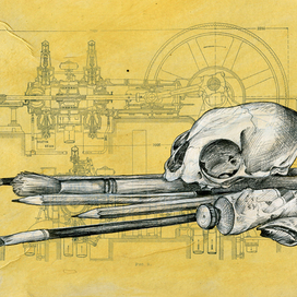 Натюрморт с черепом