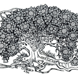 Подсолнуховое дерево