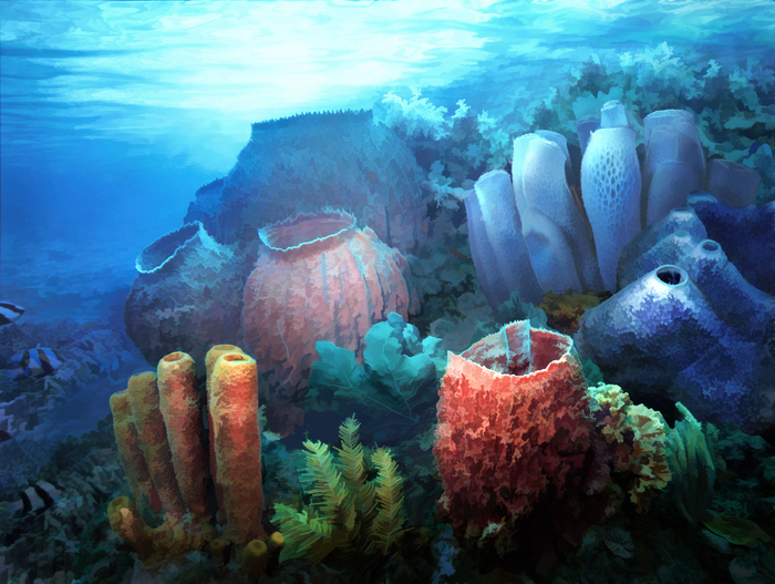 морское дно